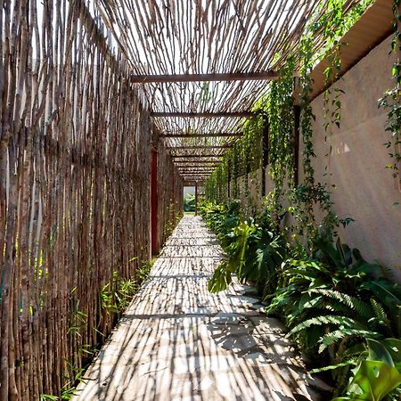 Natu Boutique Stays São Miguel dos Milagres Extérieur photo